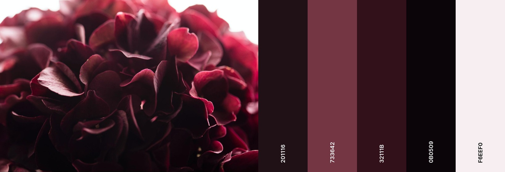 Dark Color Palette OFFEO